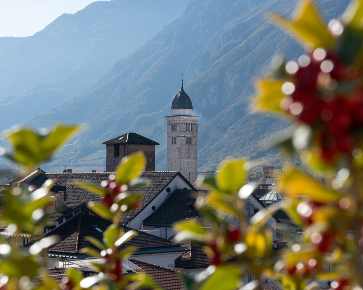 primavera trento